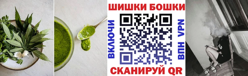 ОМГ ОМГ вход Грозный Canna-Cookies конопля
