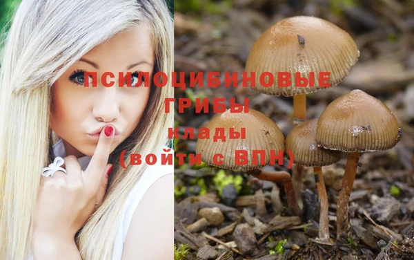 марки nbome Абаза